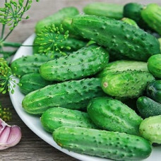 Огірок ЗАСОЛОЧНИЙ (р) 1г СУ