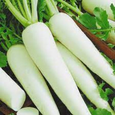 Редька ДАЙКОН (ср) 2г GLS