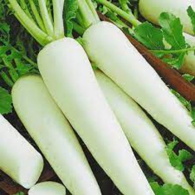 Редька ДАЙКОН (ср) 2г GLS