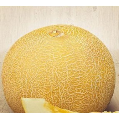 Диня МЕДОВА КАЗКА (с) 2г СУ