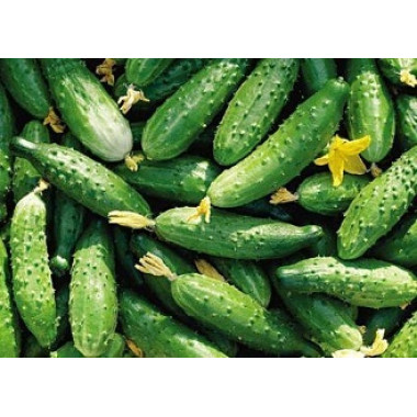 Огірок КОНКУРЕНТ (р) 1г 