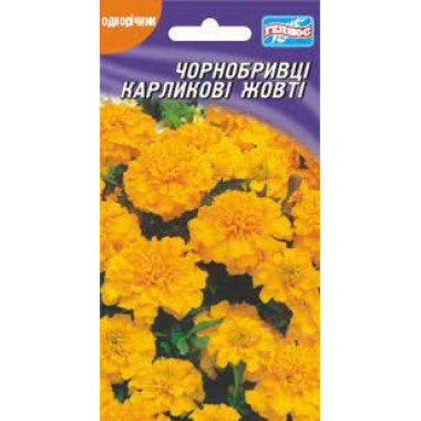 Чорнобривці КАРЛИКОВІ ЖОВТІ 50шт Геліос