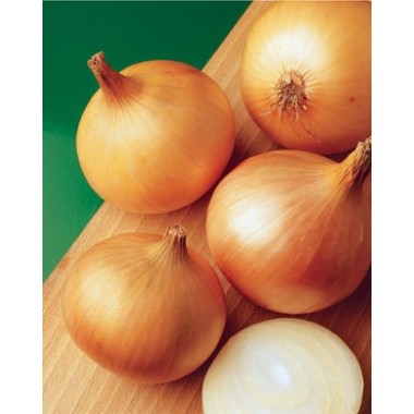 Цибуля ріпчаста ХАЛЦЕДОН  (с) 20г ВО