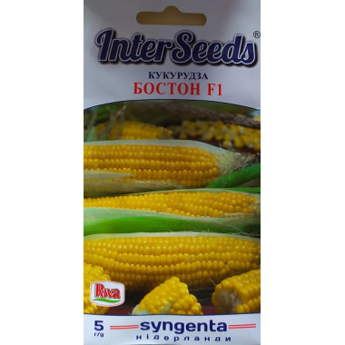 Кукурудза БОСТОН F1 (ср) 5г