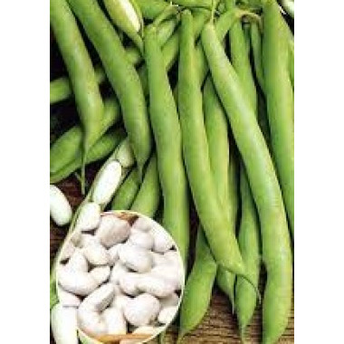 Квасоля кущова ФАЙНИЙ ЯСЬ 100г ВО