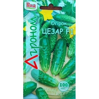 Огірок ЦЕЗАРЬ (ср) 100н АГР Огірок ЦЕЗАРЬ (ср) 100н АГР