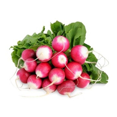 Редиска ЧЕРВОНА З БІЛИМ КІНЧИКОМ (ср) 20г СУ