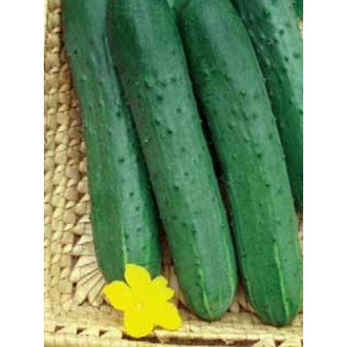 Огірок ЗОЗУЛЯ F1 (р) 10 шт